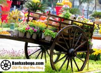 Bánh xe bò bằng gỗ